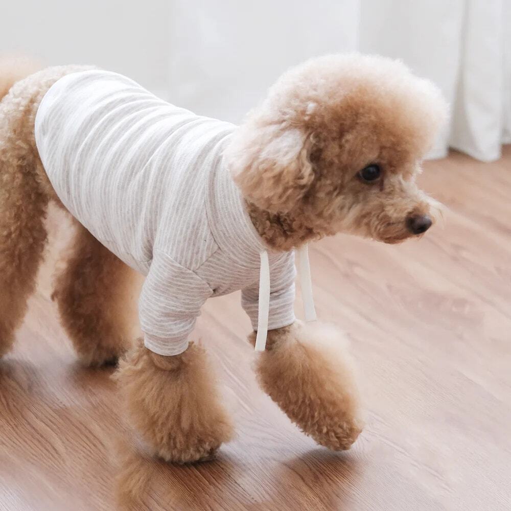 Lambwolf Collective Puppy Pet Dog Breton Cotton Stretch Striped‎ Shirt Size XXL